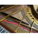 Рояль Steinway M170