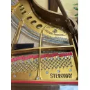 Рояль Steinway M170