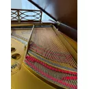 Рояль Steinway M170 Crown Jewels
