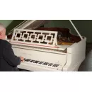 Шуберт - Вечерняя серенада, The Beatles - Because и Пугачева на рояле Steinway & Sons 1924 г.