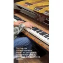 Российские молотки Buken + Blüthner 1905 = Шопен баллада №4