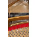 Круговой обзор рояля Steinway D 274 см