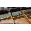 Российские молотки для рояля Buken. Тест на рояле C. Bechstein 1920 года