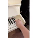 Ronisch - хроматическая гамма Ronisch - хроматическая гамма