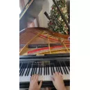 Вальс из "Берегись автомобиля" на Bechstein (российские молотки Buken)